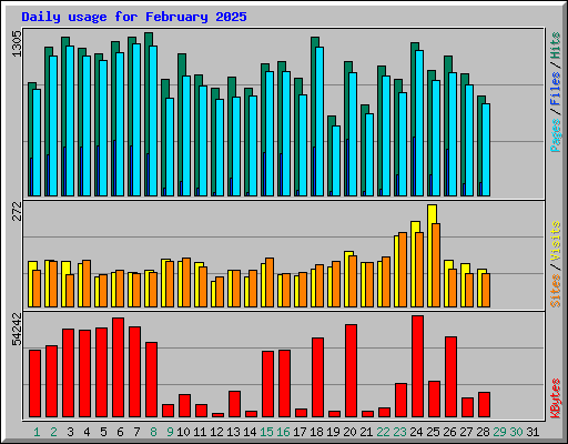 Daily usage for February 2025