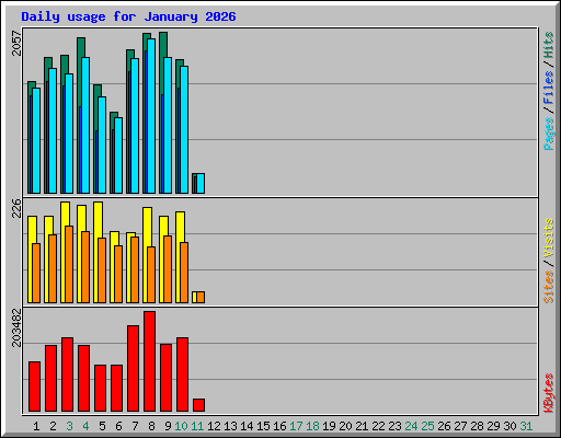 Daily usage for January 2026