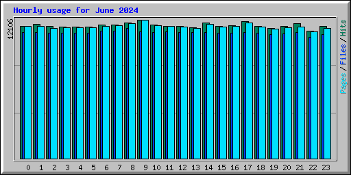 Hourly usage for June 2024