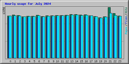 Hourly usage for July 2024