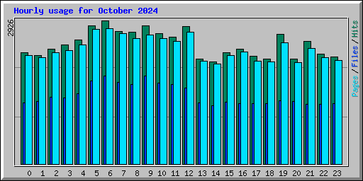 Hourly usage for October 2024