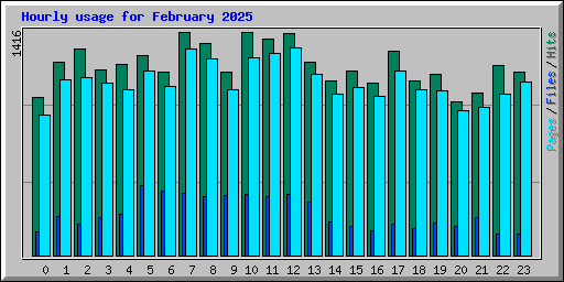 Hourly usage for February 2025