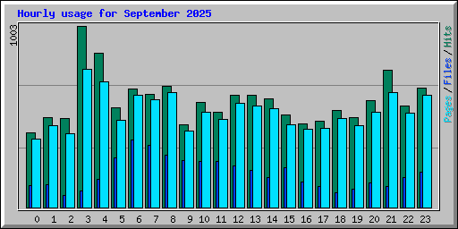 Hourly usage for September 2025