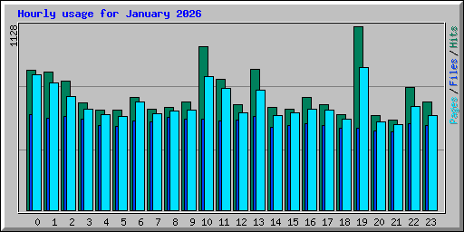 Hourly usage for January 2026
